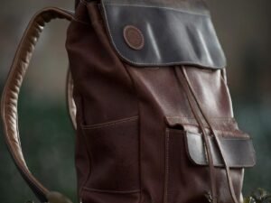 Fringilla Phasellus Faucus Scelerisque Eleifend Donec